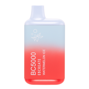 Watermelon Ice BC5000 disposable vape - Aus Vape King