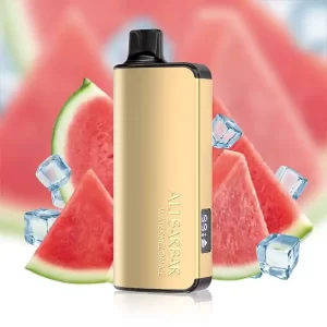 Alibarbar Ingot Watermelon Ice 9000 Puffs disposable vape device Australia