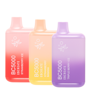 BC5000 Sampler Pack disposable vape - Aus Vape King