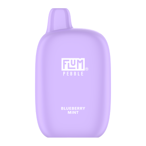 Blueberry Mint FLUM Pebble disposable vape - Aus Vape King