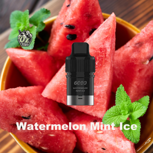 iGet Bar Plus Pod Only – Watermelon Mint Ice – 6000 disposable vape - Aus Vape King