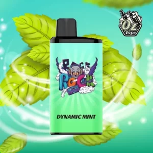 IGET Bar Pro – Dynamic Mint – 10,000 disposable vape - Aus Vape King
