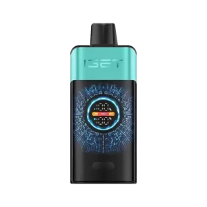 IGET One – Mountain Spring Mint Ice – 12,000 disposable vape - Aus Vape King