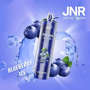 JNR Shisha Hookah – Blueberry Ice 12,000 – AusVape Direct disposable vape - Aus Vape King
