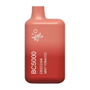 Mint Tobacco BC5000 disposable vape - Aus Vape King